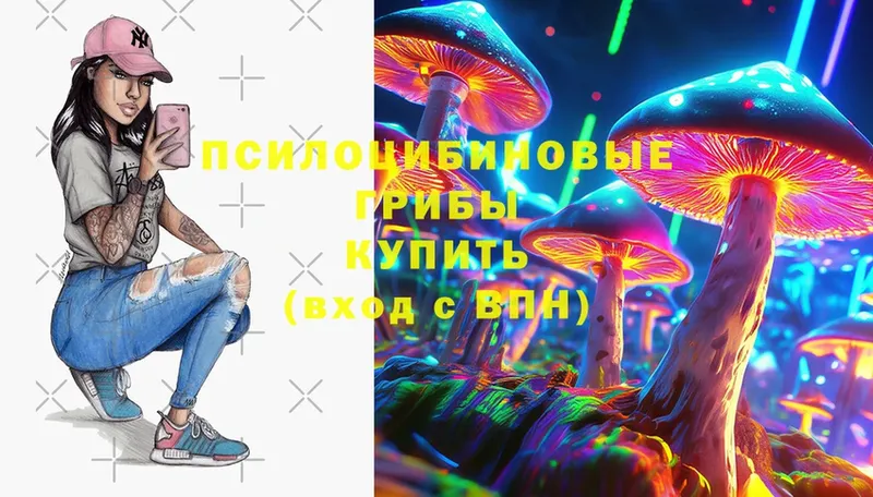 Псилоцибиновые грибы Psilocybe  Унеча 